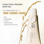 Crème solaire coréenne au riz
